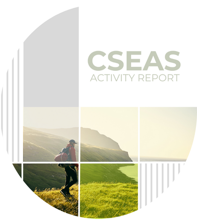 Activity Report Image