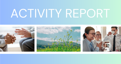 Activity Report Image
