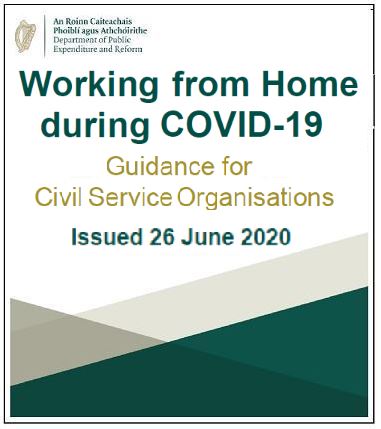 Working from Home during Covid-19 Guidance for Civil Service Organisations.pdf